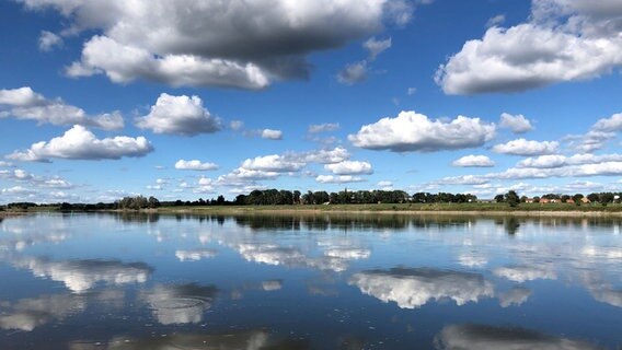 Wolken spiegeln sich in der Elbe. © NDR Foto: Jessica von Kageneck