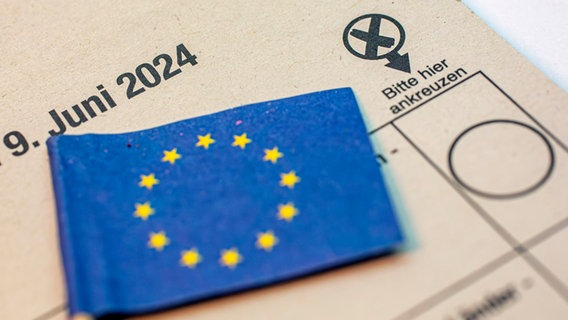 Wahlunterlagen zur Europawahl am 9. Juni 2024 liegen auf einem Tisch. © picture alliance/Goldmann 
