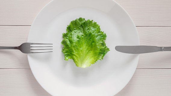 Ein Salatblatt liegt auf einem Teller. © Picture Alliance / Zoonar Foto: Nadezhda Soboleva