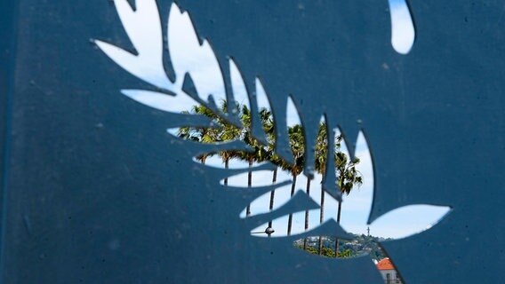Das Logo der Internationalen Filmfestspiele von Cannes, die Goldene Palme, ist an einer Wand zu sehen. Das Logo der Internationalen Filmfestspiele von Cannes, die Goldene Palme, ist an einer Wand zu sehen. © picture alliance