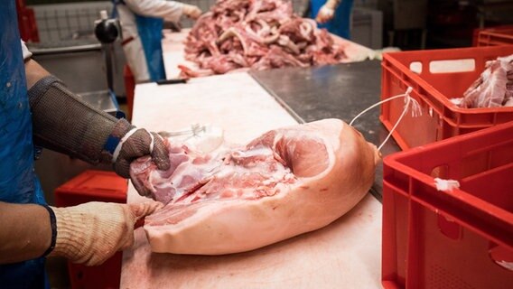 Keulen vom Schwein werden in einem Zerlegebetrieb verarbeitet. © picture alliance/dpa Foto: Christian Charisius