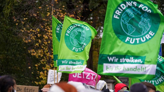 Fridays for Future flags are displayed at a climate strike.  © picture alliance/Fotostand/Reuhl Photo: Reuhl