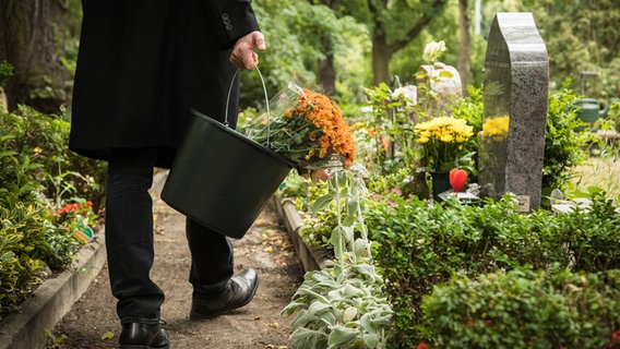 Ein Mann trägt einen Eimer mit Blumen zu einem Grab. (Gestellte Szene) © picture alliance / dpa-tmn Foto: Christin Klose
