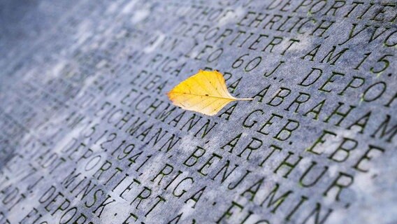 Ein Blatt liegt auf dem Holocaust-Mahnmal in Hannover. © picture alliance/dpa/Julian Stratenschulte Foto: Julian Stratenschulte