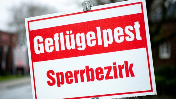 Ein Schild mit der Aufschrift „Geflügelpest Sperrbezirk“ steht an einer Straße. © picture alliance Foto: Hauke-Christian Dittrich