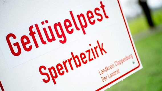 Auf einem Schild steht "Geflügelpest Sperrbezirk". © dpa Foto: Hauke-Christian Dittrich