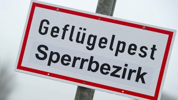 Auf einem Schild steht: "Geflügelpest Sperrbezirk". © picture alliance/dpa/dpa-Zentralbild | Stefan Sauer Foto: Stefan Sauer