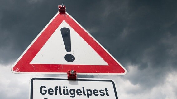 Auf einem Warnschild steht "Geflügelpest". © picture alliance / SULUPRESS.DE | Torsten Sukrow / SULUPRESS.DE Foto: Torsten Sukrow