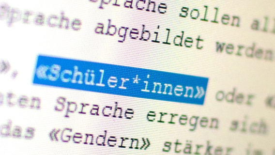 Auf einem Bildschirm ist das Wort "Schüler*innen" zu sehen. Zu dpa: "Gendern in Schulprüfungen soll nicht als Fehler zählen". © Gregor Bauernfeind/dpa Foto: Gregor Bauernfeind/dpa