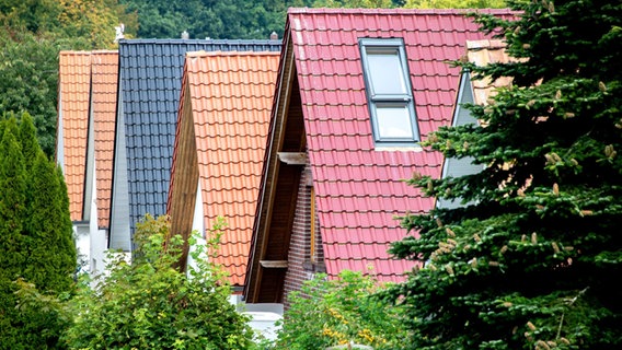 Mehrere Häuser mit verschiedenfarbigen Satteldächern stehen nebeneinander. Ringsum sind Bäume zu sehen. © picture alliance / Hauke-Christian Dittrich Foto: Hauke-Christian Dittrich