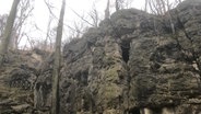 Ein einer etwas 15 Meter hohen Felswand sind Höhleneingänge. Einer der Eingänge ist über eine Metalltreppe zu erreichen. © NDR Foto: Martina Witt