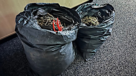 Zwei Säcke mit rund 40 Kilogramm Bärlauch, beschlagnahmt von der Polizei Bad Münder © Polizeiinspektion Hameln-Pyrmont/Holzminden 