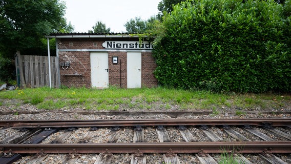Schienen verlaufen auf der alten Bahnstrecke Rinteln - Stadthagen am alten Bahnhof Nienstädt im Landkreis Schaumburg. © Julian Stratenschulte/dpa Foto: Julian Stratenschulte