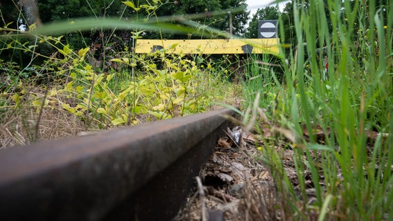 Schienen verlaufen auf der alten Bahnstrecke Rinteln - Stadthagen am alten Bahnhof Nienstädt im Landkreis Schaumburg. © Julian Stratenschulte/dpa Foto: Julian Stratenschulte