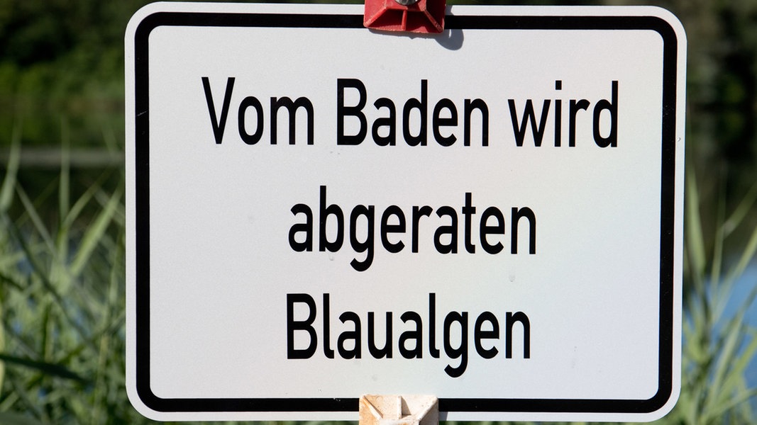 Weitere Blaualgen an Badestellen in MV