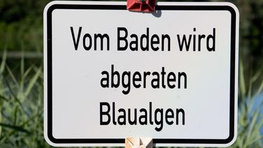 Ein Schild "Vom Baden wird abgeraten - Blaualgen" steht am Hohnsensee. © dpa-Bildfunk Foto: Julian Stratenschulte