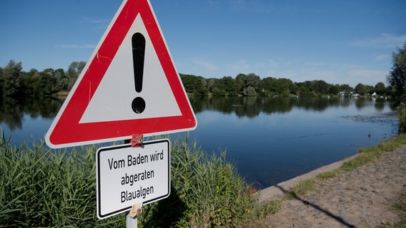 Ein Schild "Vom Baden wird abgeraten - Blaualgen" steht am Hohnsensee bei Hildesheim. © picture alliance Foto: Julian Stratenschulte