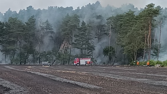 Einsatzfahrzeuge der Feuerwehr stehen an einem Waldrand und löschen einen Brand. © Feuerwehr/dpa 