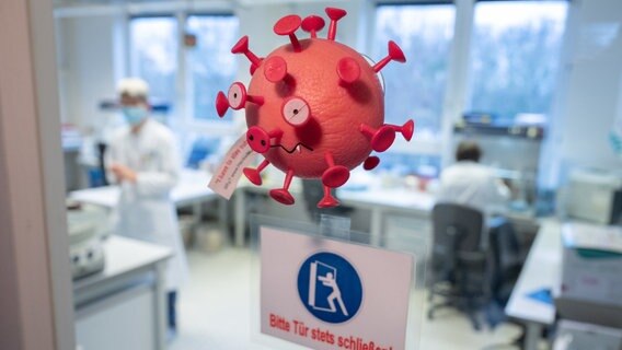Das Bild zeigt die Arbeit in einem Labor für Corona-Tests in Hannover. © picture-alliance Foto: Julian Stratenschulte
