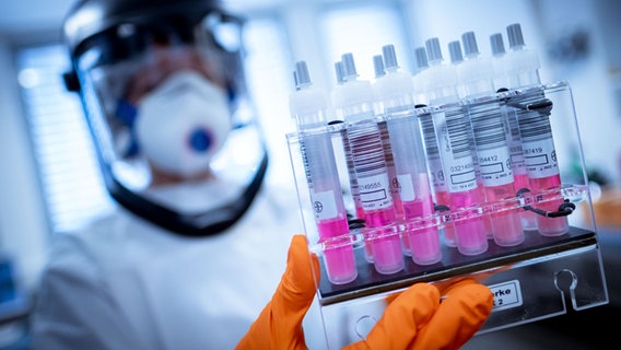 Eine wissenschaftliche Mitarbeiterin hält Coronavirus-Testproben im Niedersächsischen Landesamt für Verbraucherschutz und Lebensmittelsicherheit in der Hand. © dpa Foto: Peter Steffen