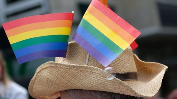 Ein Teilnehmer des Christopher Street Days in Hannover trägt einen Strohhut mit Regenbogenfahnen. © dpa-Bildfunk Foto: Peter Steffen