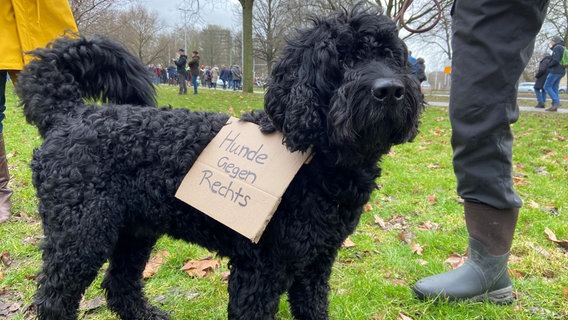 Einem Hund hat ein Schild umgehängt bekommen, auf dem: "Hunde gegen rechts" steht. © NDR Foto: Wolfgang Kurtz