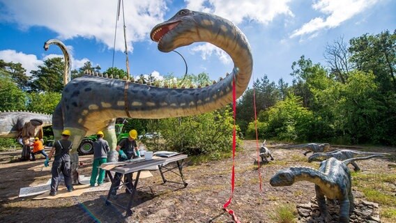 Ein Kunststoff-Dinosaurier wird in einem Freizeitpark installiert. © Sina Schuldt/dpa Foto: Sina Schuldt