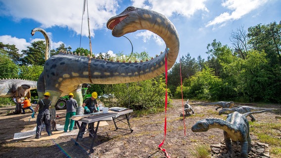 Ein Kunststoff-Dinosaurier wird in einem Freizeitpark installiert. © Sina Schuldt/dpa Foto: Sina Schuldt