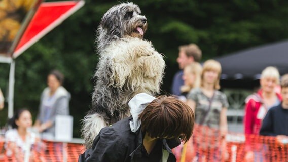 ein Hund steht auf dem Rücken einer Frau © Stadt Events GmbH 