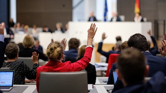 Abgeordnete stimmen in einer Sitzung im niedersächsischen Landtag ab. © picture alliance/dpa/Ole Spata Foto: Ole Spata