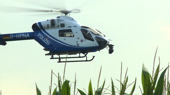 Ein Hubschrauber der Polizei fliegt über ein Maisfeld auf der Suche nach vermutlichen Geldautomatenknackern. © TeleNewsNetwork 