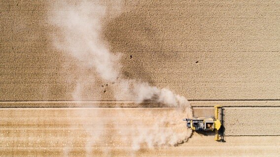 Ein Landwirt erntet mit Hilfe eines Mähdreschers bei sehr heißem Wetter ein extrem trockenes Weizenfeld in der Region Hannover. © Julian Stratenschulte/dpa Foto: Julian Stratenschulte