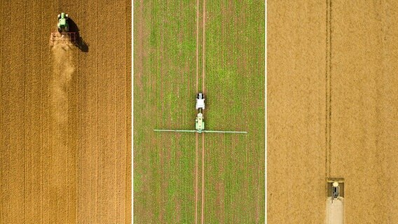 Eine Bildcollage zeigt Luftaufnahmen von Landwirten bei der Feldarbeit. © dpa Foto: Julian Stratenschulte
