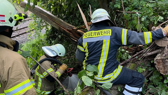 Feuerwehrleute löschen einen Baum. © Freiwillige Feuerwehr Springe 