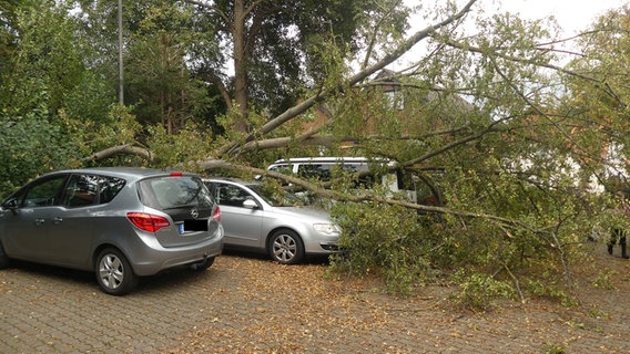 Ein umgestürzter Baum liegt auf vier parkenden Autos. Ein umgestürzter Baum liegt auf vier parkenden Autos. © Gerald Senft/Stadtfeuerwehr Laatzen