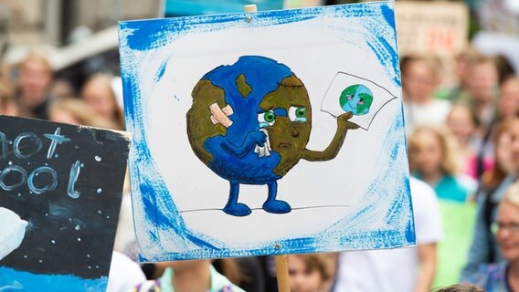 Ein Demonstrant der Bewegung Fridays For Future geht mit einem Plakat mit einer gezeichneten weinenden Erde durch Hannover. © dpa-Bildfunk Foto: Christophe Gateau/dpa
