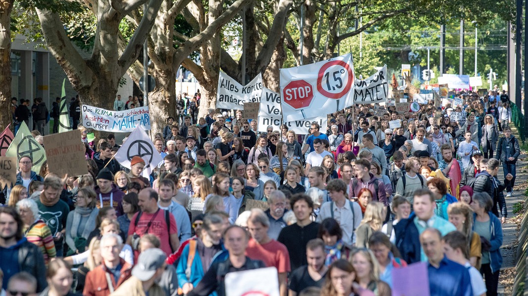 Bildergebnis fÃ¼r fridays for future