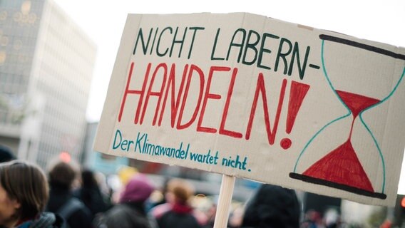 Bei einer Demonstration von "Fridays for Future" halten Demonstrierende ein Protestplakat mit der Aufschrift "Nicht Labern - Handeln" in die Luft. © NDR Foto: Julius Matuschik