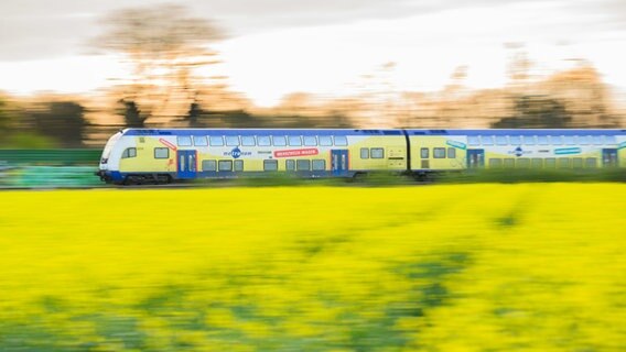 Eine Bahn von Metronom fährt am Morgen an einem blühenden Rapsfeld in der Region Hannover vorbei. © dpa-Bildfunk Foto: Julian Stratenschulte/dpa