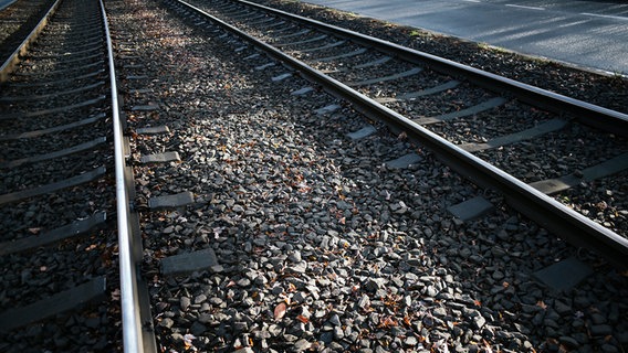 Gleise neben einer Landstraße. © NDR Foto: Julius Matuschik