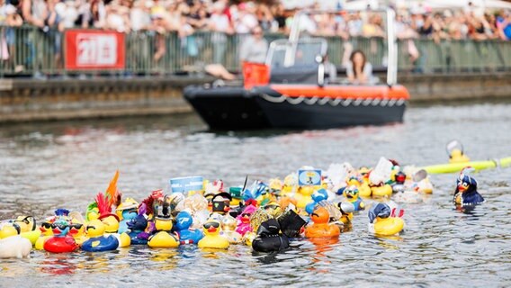 Gummienten schwimmen beim 11. Entnrennen auf dem Maschee. © dpa Foto: Michael Matthey