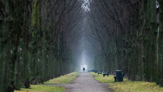 Das Bild zeigt einen Menschen der durch die Herrenhäuser Allee in Hannover spaziert. © dpa-Bildfunk Foto: Julian Stratenschulte