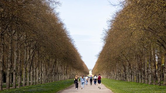 Menschen sind bei sonnigem Wetter in der Herrenhäuser Allee in Hannover unterwegs. © dpa-Bildfunk Foto: Moritz Frankenberg