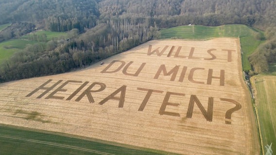 Ein Landwirt mäht "Willst du mich heiraten?" mit einem Trecker in ein Feld. © TeleNewsNetwork 