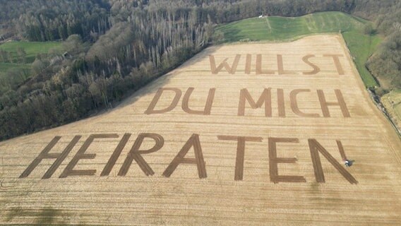 Ein Landwirt mäht "Willst du mich heiraten?" mit einem Trecker in ein Feld. © TeleNewsNetwork 