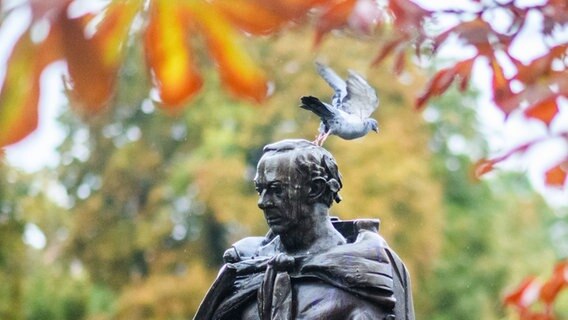Eine Taube fliegt zwischen herbstlich verfärbten Bäumen auf dem Kopf der Reiterfigur von König Ernst August auf dem Platz der Göttinger Sieben am niedersächsischen Landtag. © dpa Foto: Julian Stratenschulte