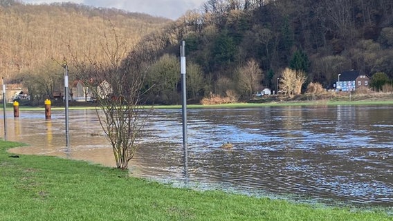 Die Weser tritt bei Bodenwerder über das Ufer. © NDR Foto: Jochen Wittig