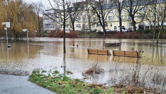 Hochwasser an der Ihme in Hannover. © NDR Foto: Janine Klemmt