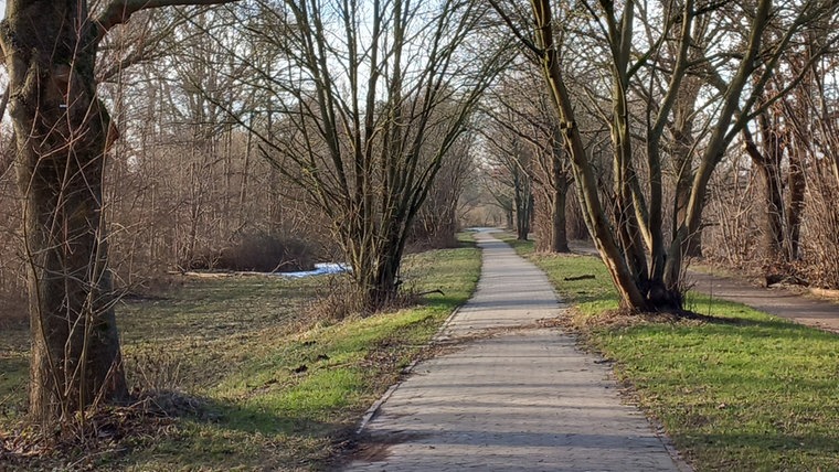 Das Bild zeigt ein Gebiet der Ricklinger Teiche in Hannover. © NDR Foto: Tammo Reimers