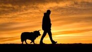 Ein Mann geht mit seinem Hund spazieren. © dpa - Bildfunk Foto: Julian Stratenschulte